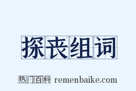 探丧组词是什么意思的图片
